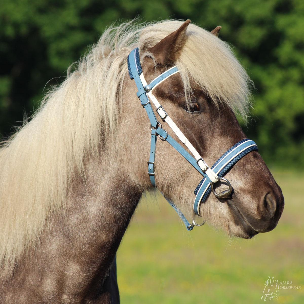 Quick Bridle Eleganz